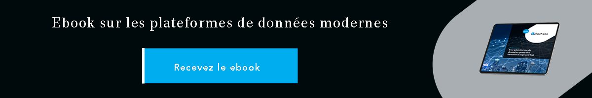 Téléchargez notre ebook sur les plateformes de données